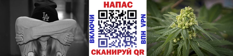 Виды наркотиков купить Торопец ГАШИШ  Псилоцибиновые грибы  НБОМе  Каннабис  Cocaine  Мефедрон 