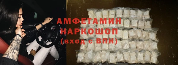 крисы Абаза