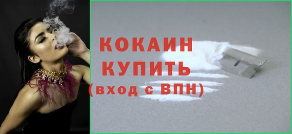 крисы Абаза
